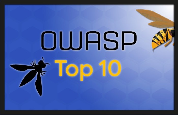 OWASP top 10 vulnerabilities